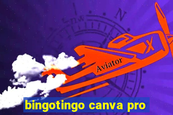 bingotingo canva pro